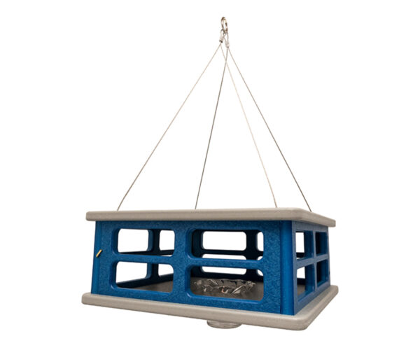 Blue Bird Feeder