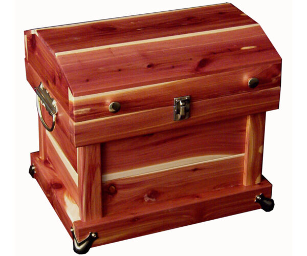 Cedar Trunk - 12"